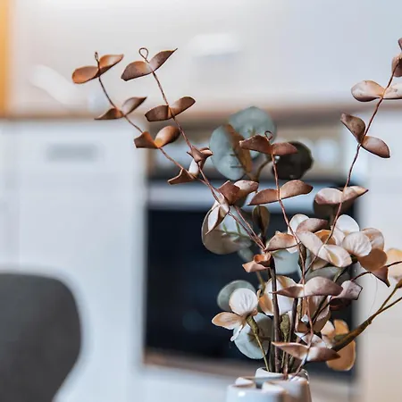 - Zentral - Modern - Balkon - Kueche *