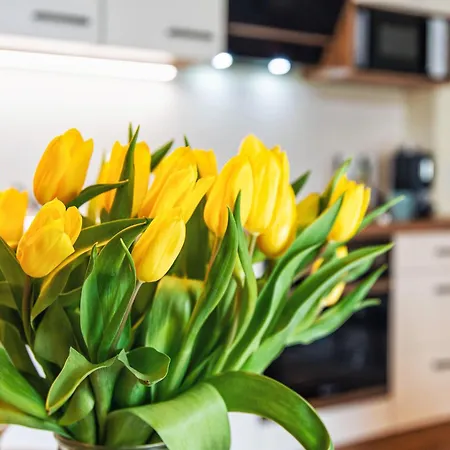 - Zentral - Modern - Balkon - Kueche *