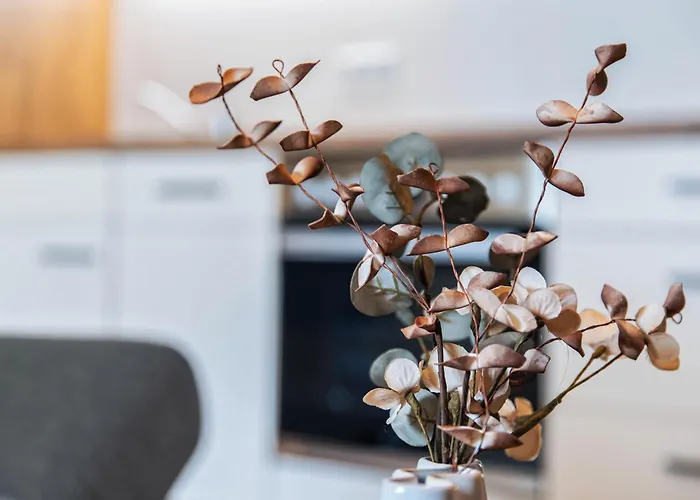 - Zentral - Modern - Balkon - Kueche *