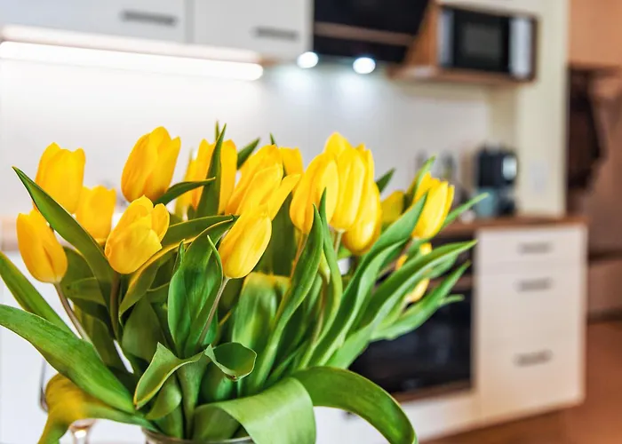 - Zentral - Modern - Balkon - Kueche *